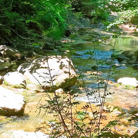 Brézilhac Chambre Independante Piscine, Parc, Cuisine... المظهر الخارجي الصورة