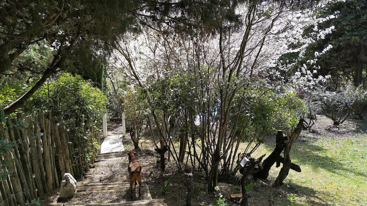 Brézilhac Chambre Independante Piscine, Parc, Cuisine... المظهر الخارجي الصورة